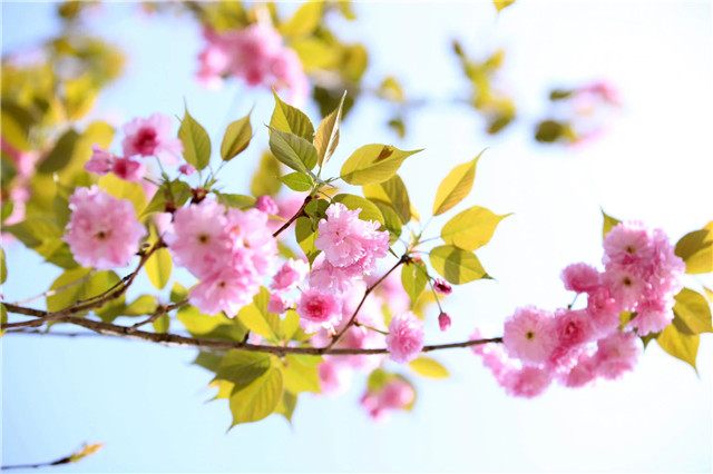 1605677328287377.jpg 1.jpg