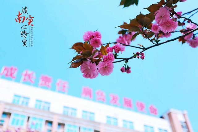 1605677871155050.bmp 4.bmp