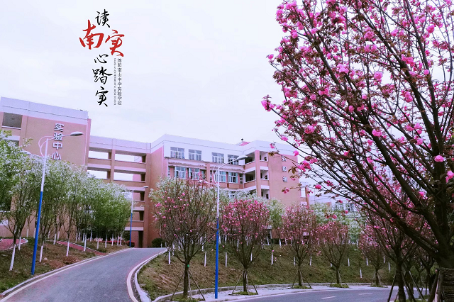 1605677882724360.bmp 5.bmp