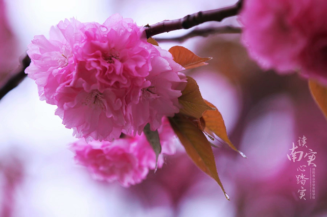 1605677915872961.bmp 1.bmp