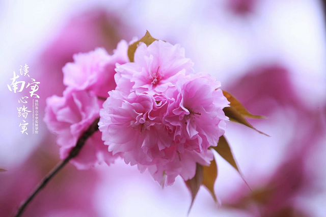 1605677926350587.bmp 2.bmp