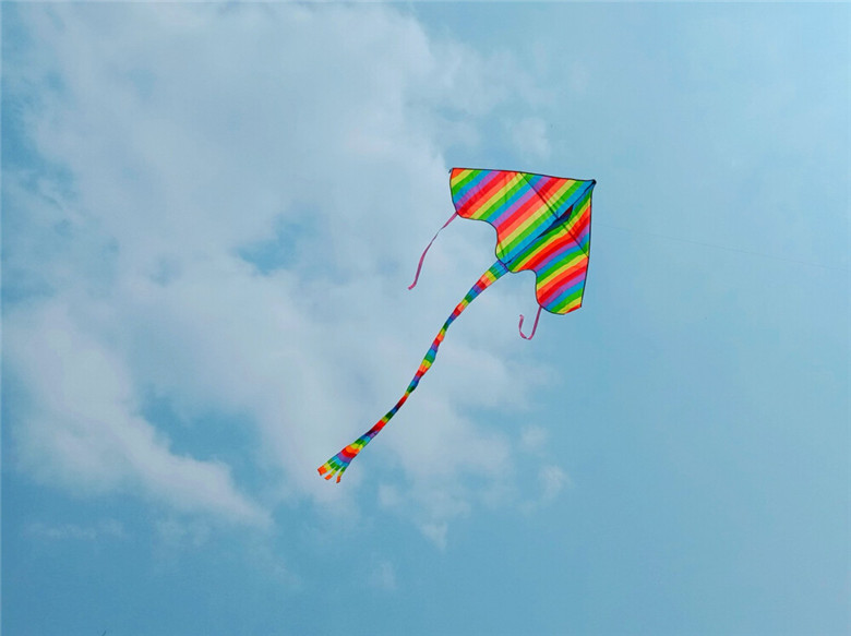 1614476887906144.jpg 3.jpg