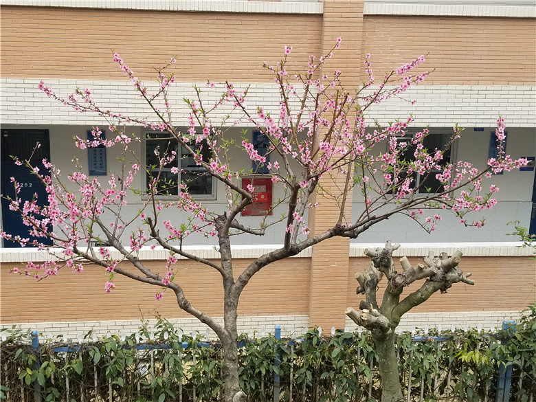 1615798778644282.jpg 0 (4).jpg