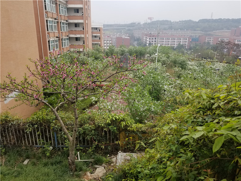 1615798793555487.jpg 0 (2).jpg