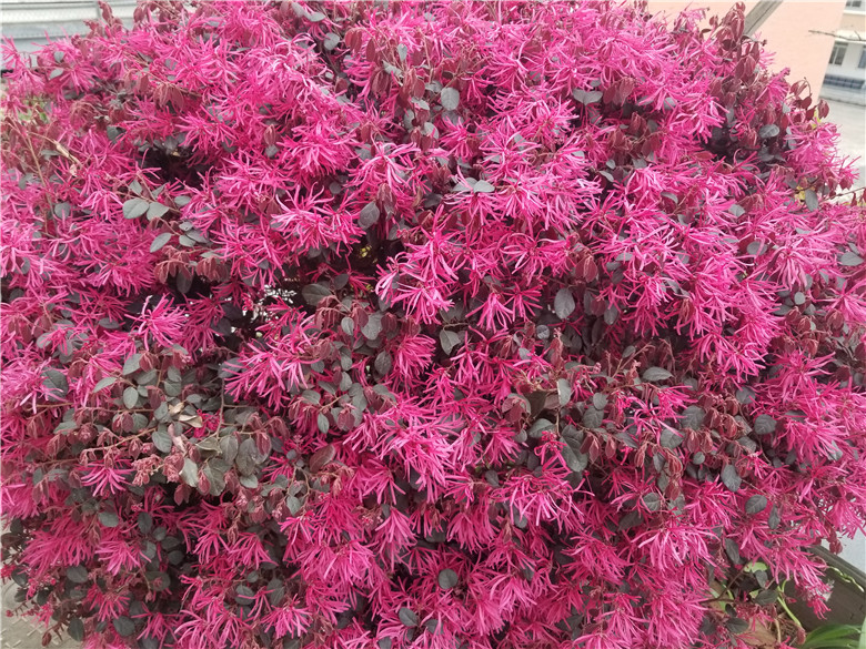 1615798815940107.jpg 0 (7).jpg