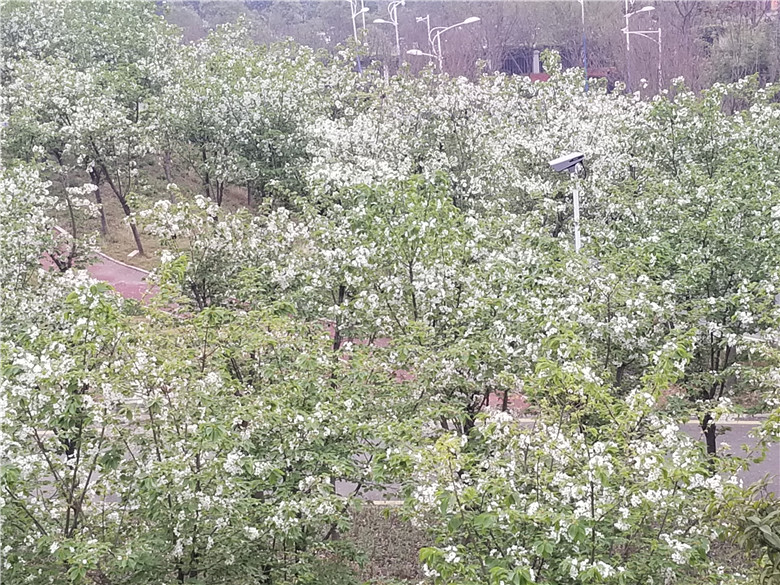 1615798829220180.jpg 0 (1).jpg