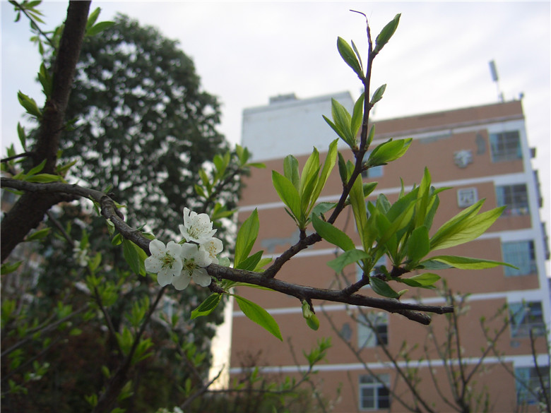 1615799577174757.jpg 圖片4.jpg