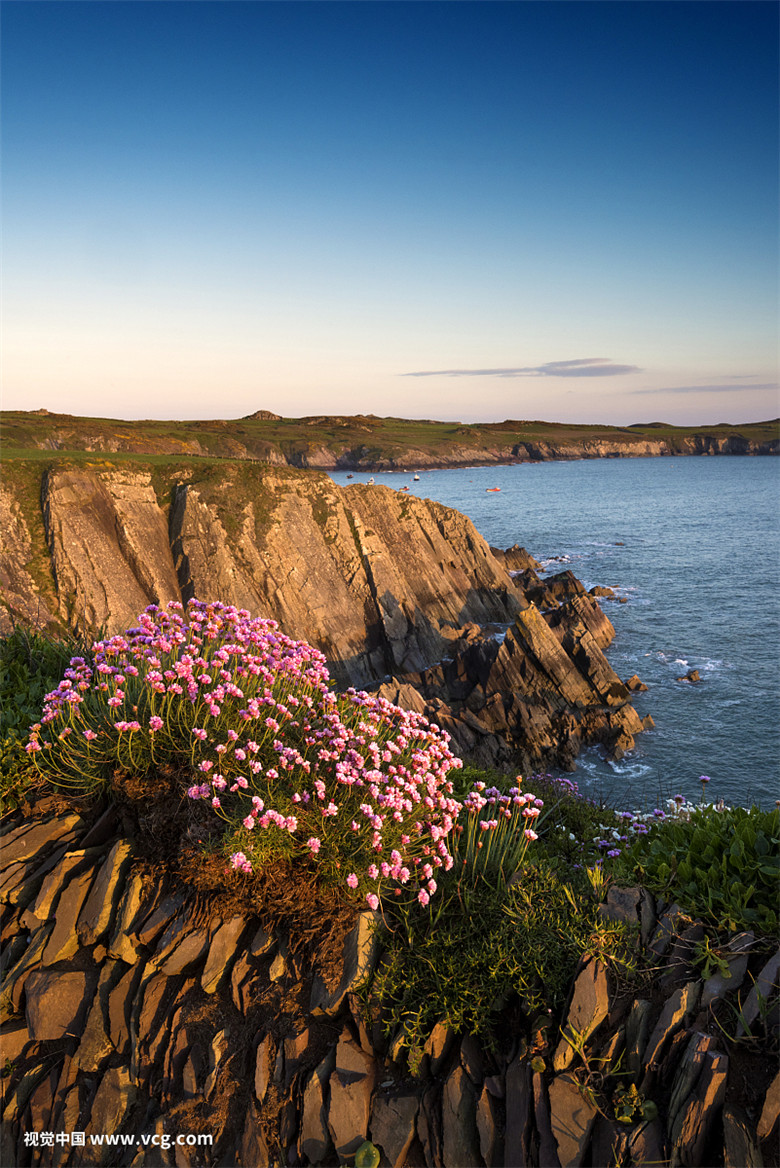 1619227832664427.jpg f8164bac11c838574b537ea03bcc5a52_t01e9e1a2698153b8af.jpg