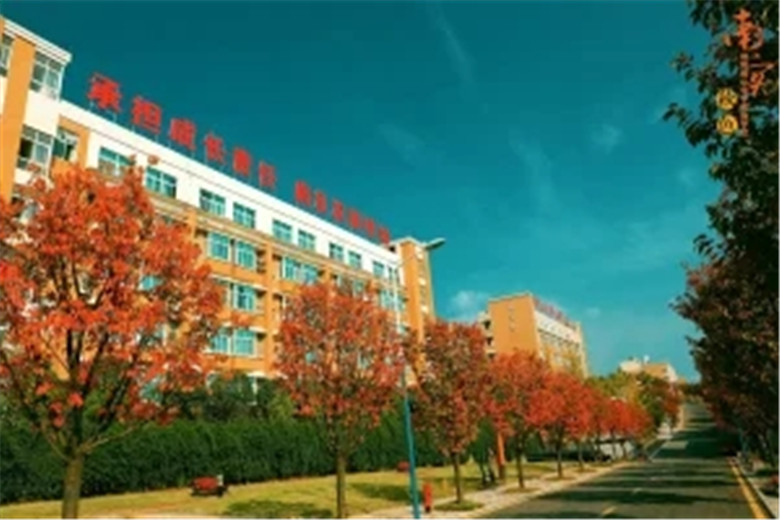 1622366436429428.jpg psc.webp (1).jpg