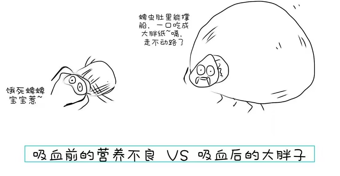 1681953413509697.jpg 1681953413509697.jpg