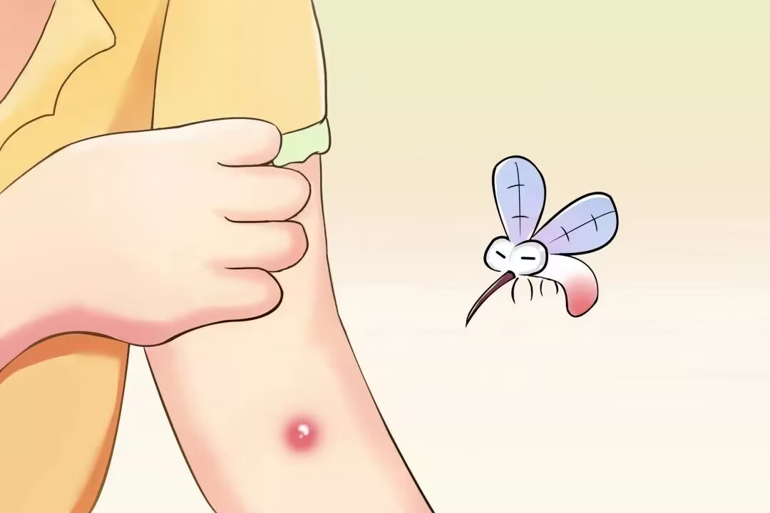 1682643192840546.jpg 1682643192840546.jpg