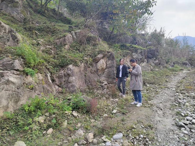 1699948736872650.png 圖片4.png