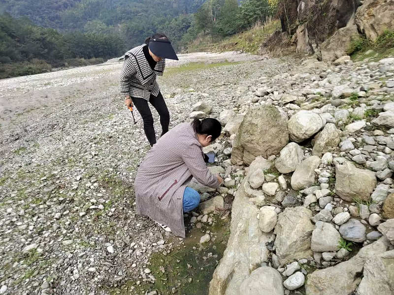 1699948766436729.png 圖片5.png