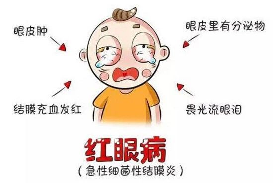 1713252708793002.jpg 1713252708793002.jpg