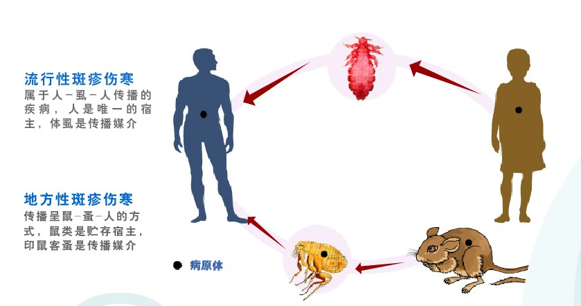 1713487656708071.png 1713487656708071.png