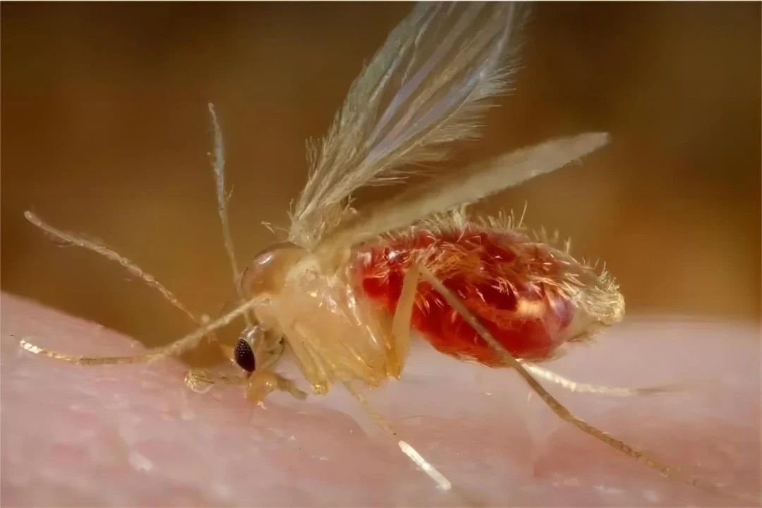 1718241102341945.jpg 1718241102341945.jpg