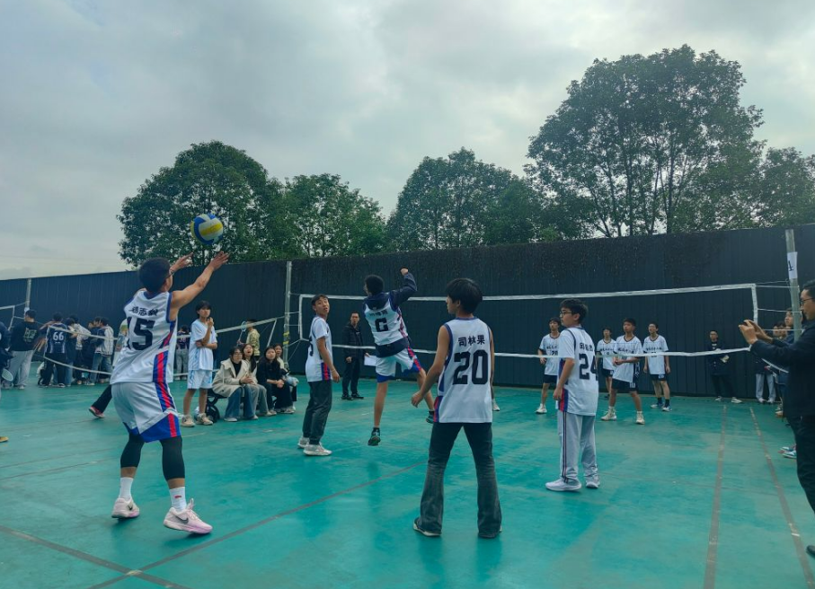 1731550078877979.png 71105a33-04f0-4657-81cd-8b22bd729f52.png